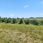 Apartmán Renovated Charentaise House In The Vineyards *