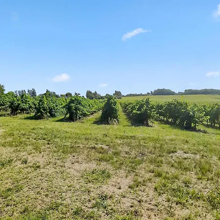 Διαμέρισμα Renovated Charentaise House In The Vineyards *