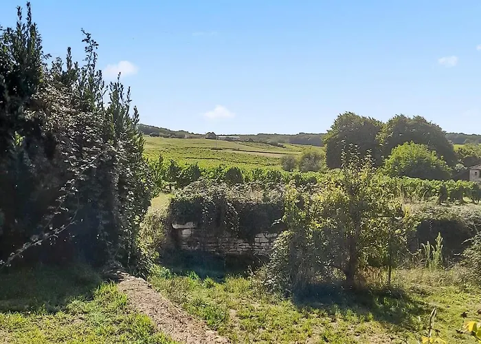 Appartement Renovated Charentaise House In The Vineyards *