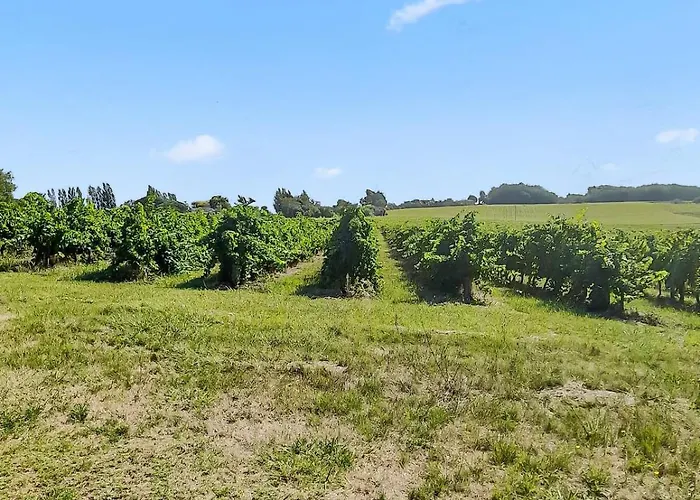 Apartamento Renovated Charentaise House In The Vineyards *